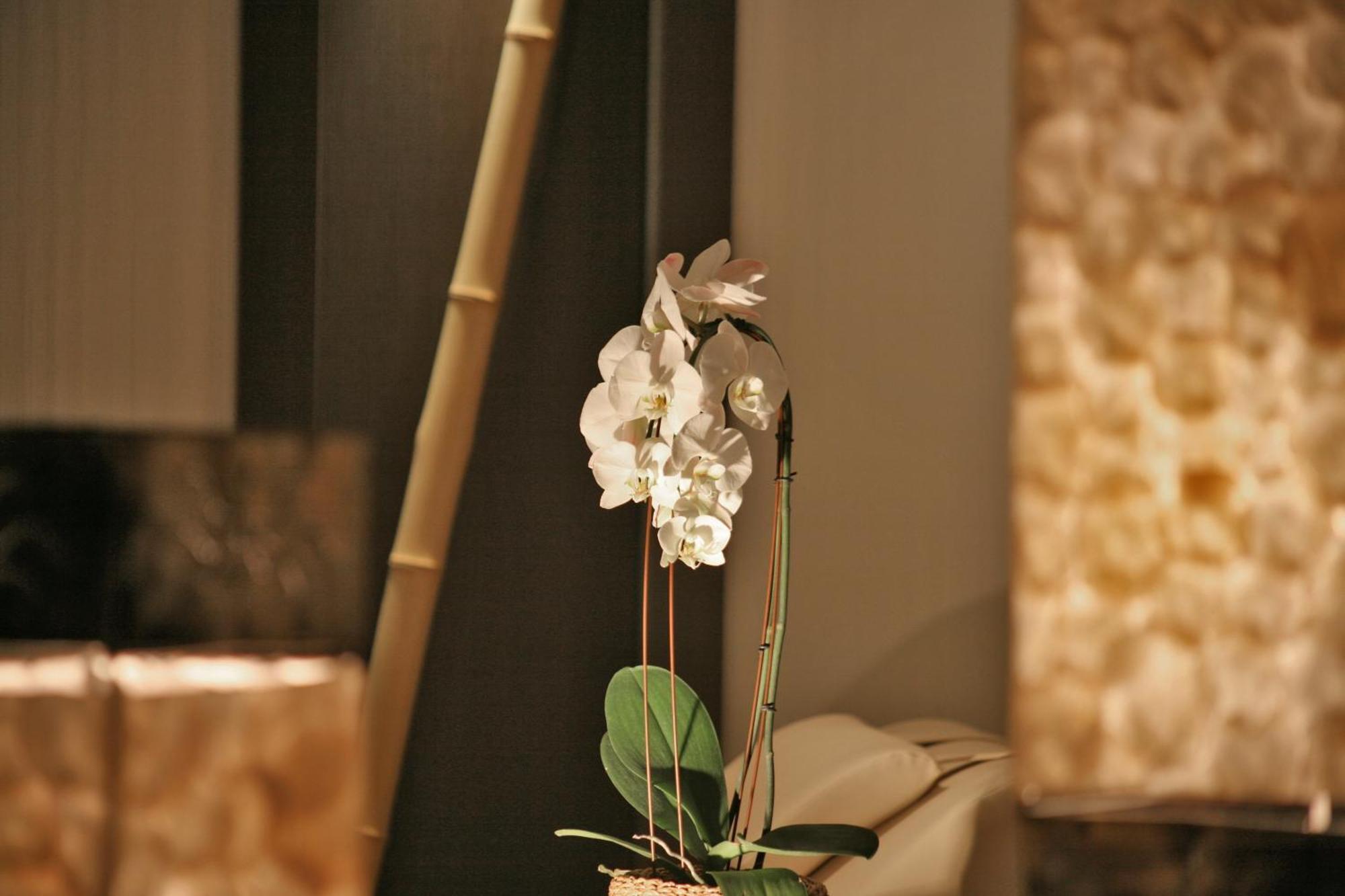 Hotel & Spa Waldecker Hof Willingen  Εξωτερικό φωτογραφία